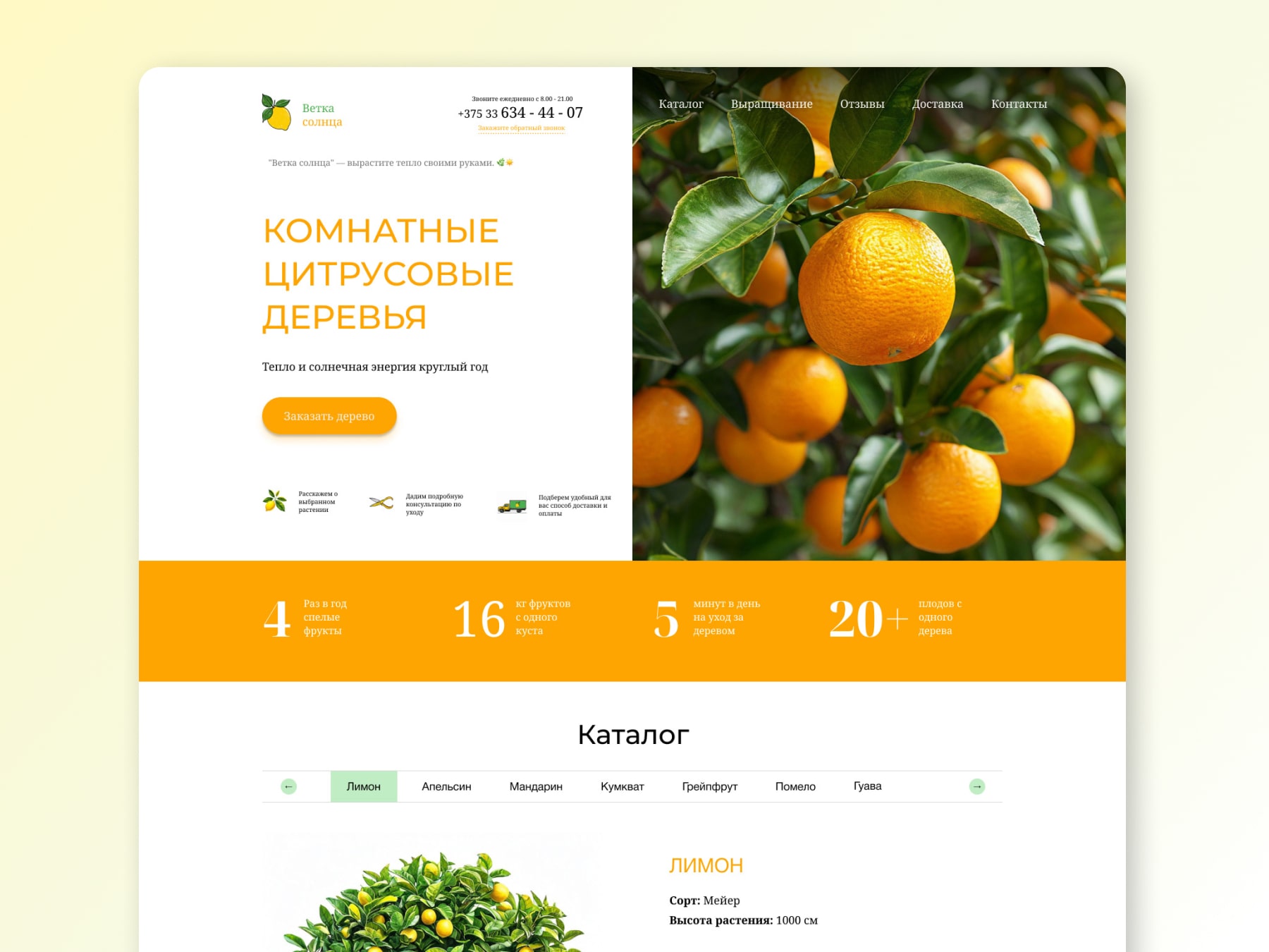 Сайт-визитка