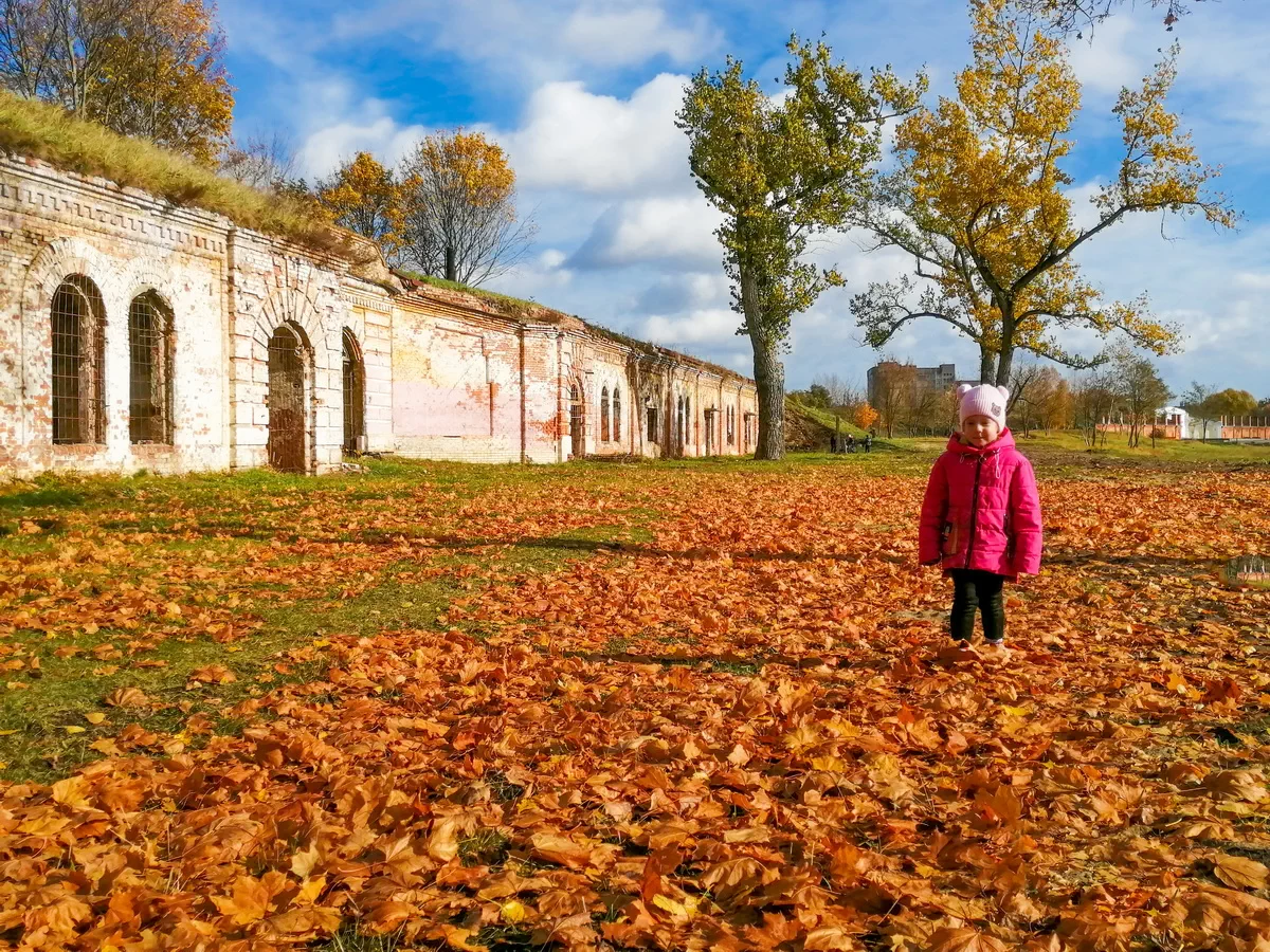 Ребенок в кадре для фотосъемки, осень, композиция