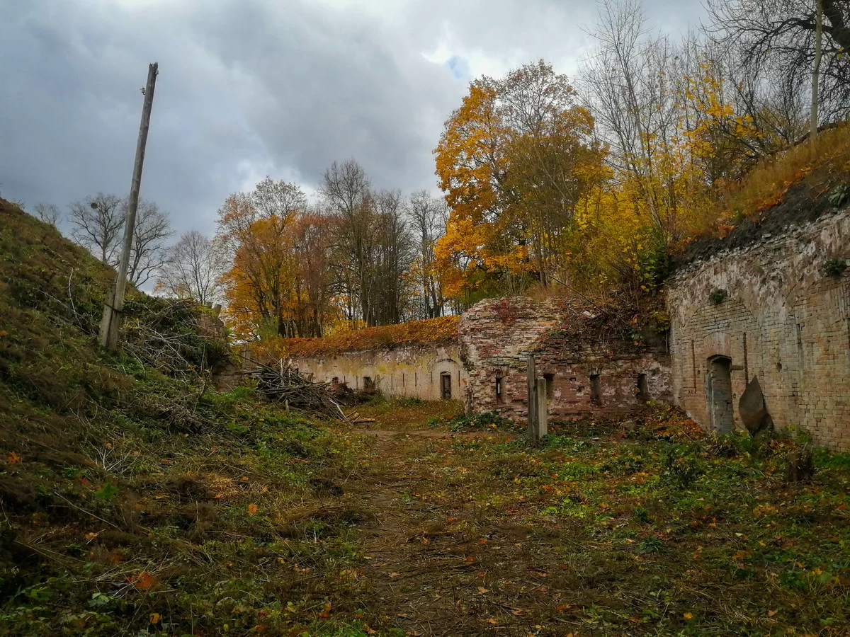 Заброшенные постройки, деревья, осенняя листва, кирпичная кладка